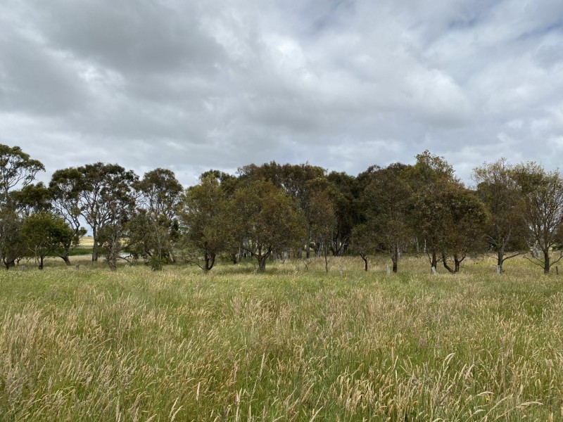 1E Bengworden Road, Meerlieu VIC 3862