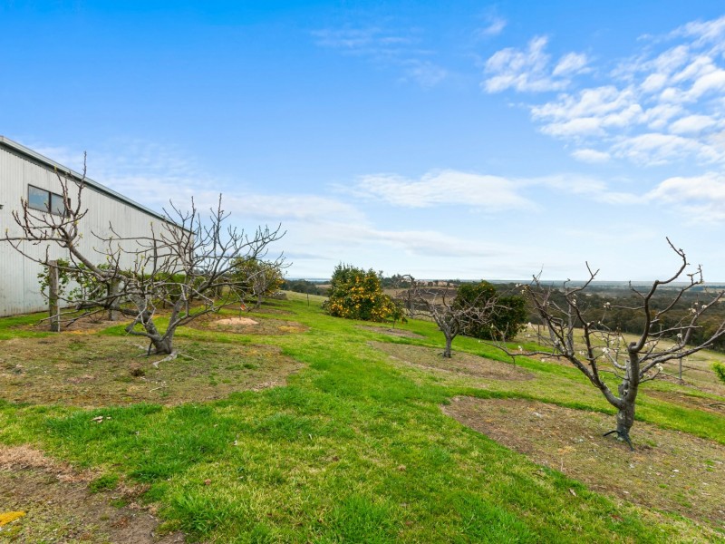 9 Pheasant Track, Granite Rock VIC 3875