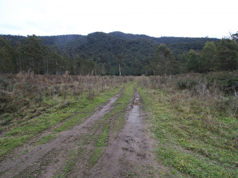 CA2 Upper Dargo Road, Dargo VIC 3862