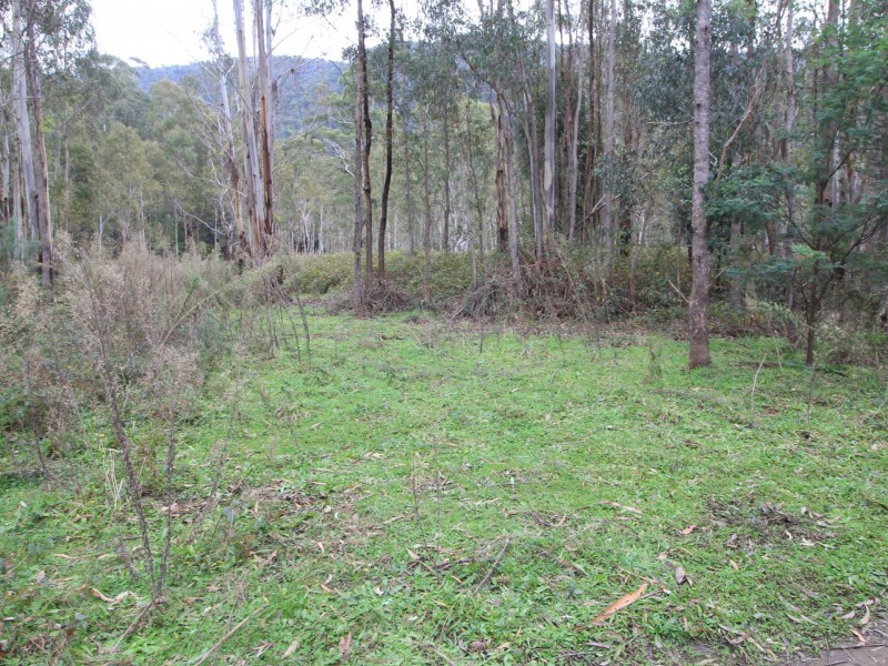 CA2 Upper Dargo Road, Dargo VIC 3862