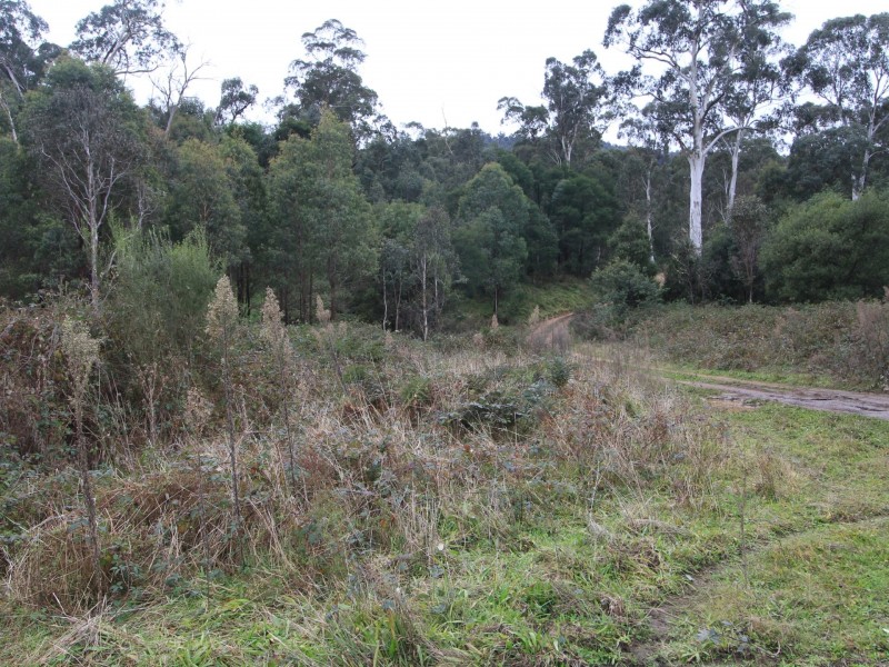 CA2 Upper Dargo Road, Dargo VIC 3862