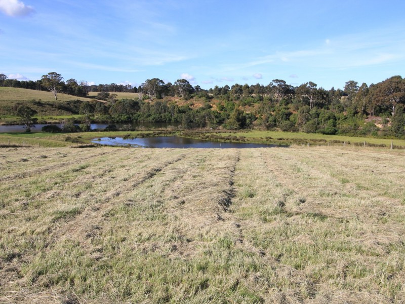 16 Parkside Drive, Nicholson VIC 3882