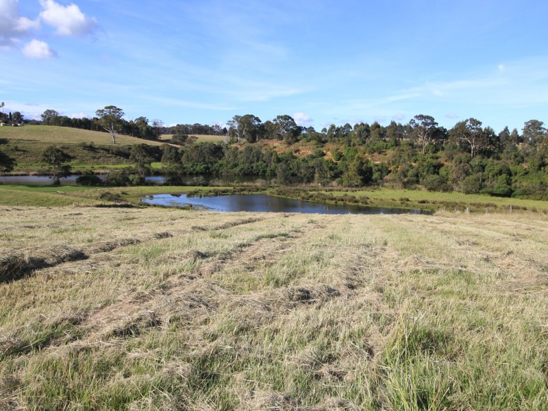 16 Parkside Drive, Nicholson VIC 3882