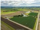 1035 Lindenow/Glenaladale Road, Walpa VIC 3875