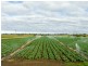 1035 Lindenow/Glenaladale Road, Walpa VIC 3875