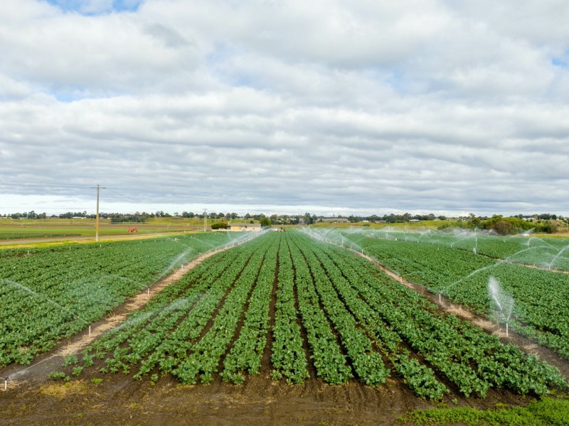 1035 Lindenow/Glenaladale Road, Walpa VIC 3875