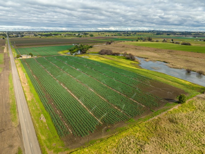 1035 Lindenow/Glenaladale Road, Walpa VIC 3875