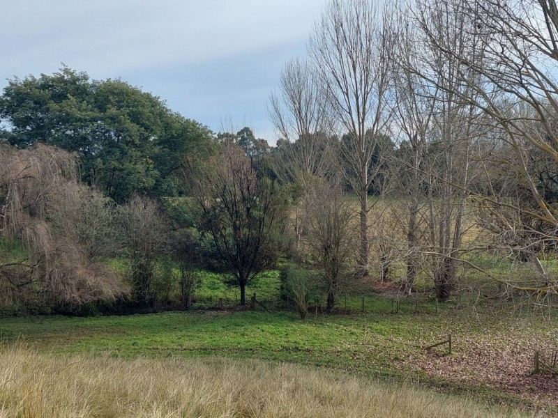 41 Harnham Drive, Bairnsdale VIC 3875