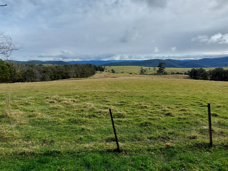 3121 Gelantipy Road, Butchers Ridge VIC 3885