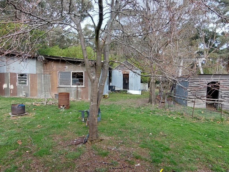 3121 Gelantipy Road, Butchers Ridge VIC 3885