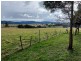 3121 Gelantipy Road, Butchers Ridge VIC 3885