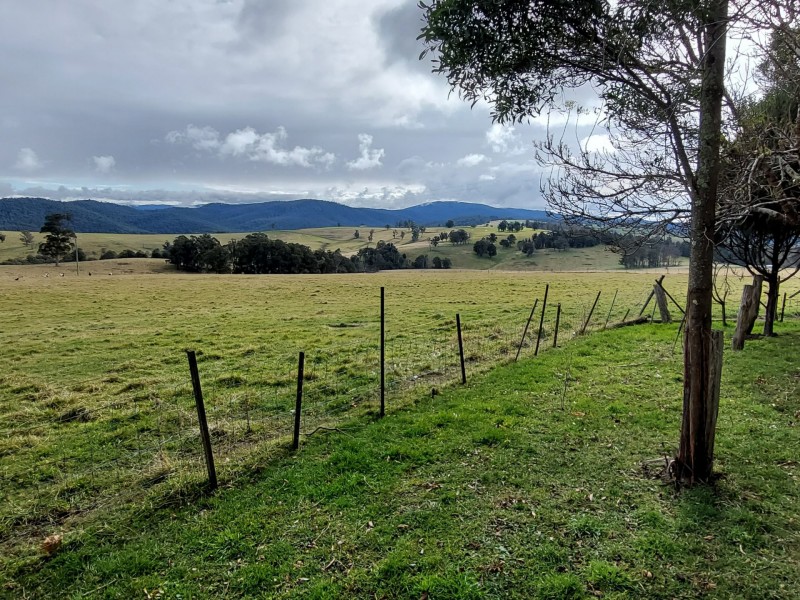 3121 Gelantipy Road, Butchers Ridge VIC 3885
