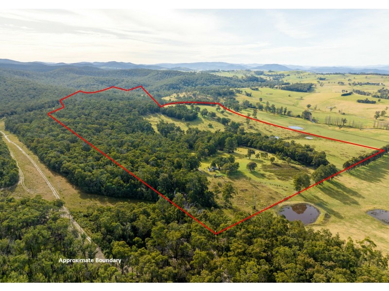 120 Roberts Road, Buchan South VIC 3885