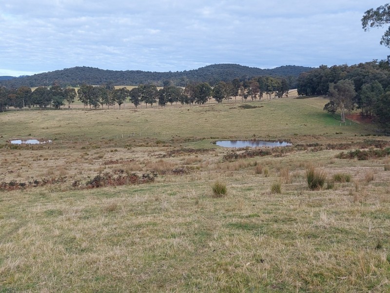 120 Roberts Road, Buchan South VIC 3885