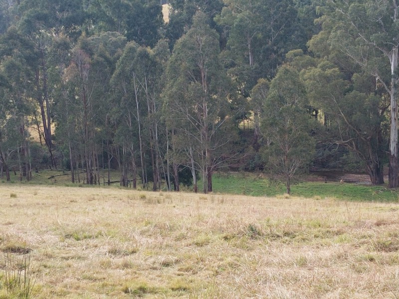 120 Roberts Road, Buchan South VIC 3885