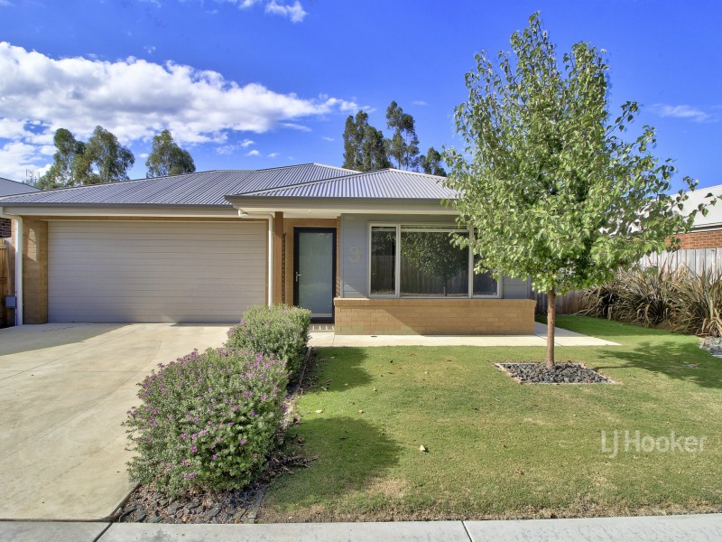3 Bryan Place, East Bairnsdale VIC 3875