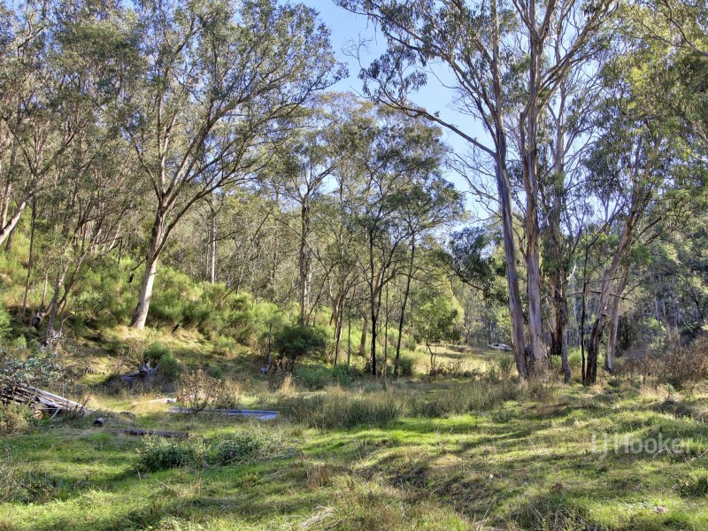 461 Stockyard Road, Tongio VIC 3896