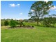 31 Neds Creek Drive, Nicholson VIC 3882