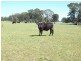 Lot 3 Redcourt Lane, Bairnsdale VIC 3875
