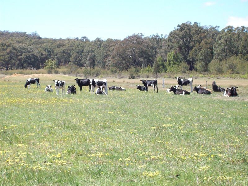 Lot 3 Redcourt Lane, Bairnsdale VIC 3875