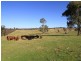 1738 Great Alpine Road, Sarsfield VIC 3875