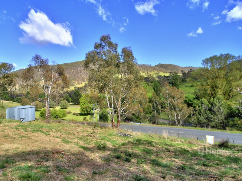 90 Old Omeo Highway, Omeo VIC 3898