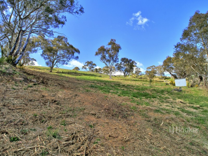 90 Old Omeo Highway, Omeo VIC 3898