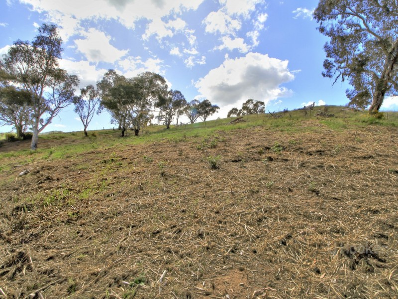 90 Old Omeo Highway, Omeo VIC 3898