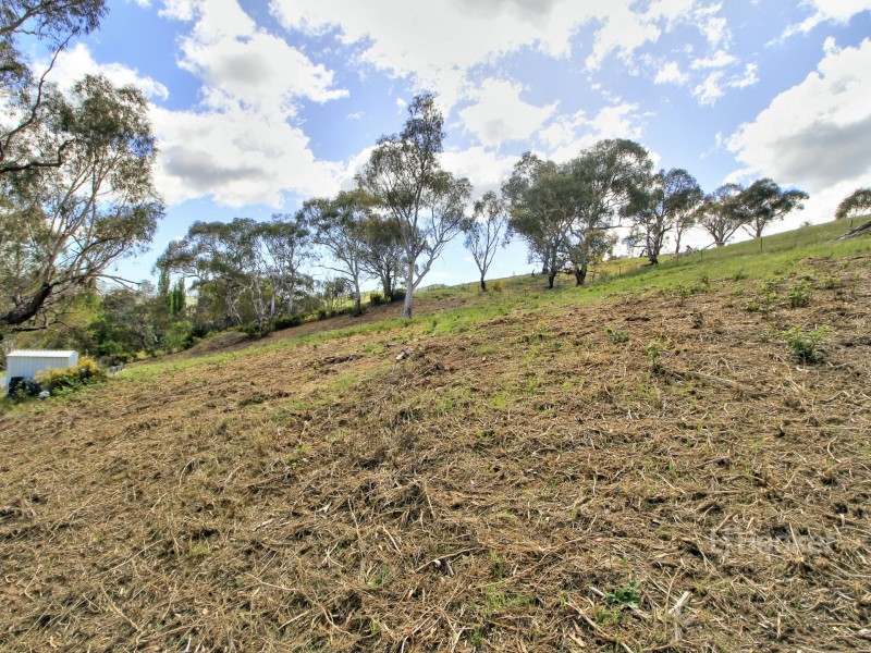 90 Old Omeo Highway, Omeo VIC 3898