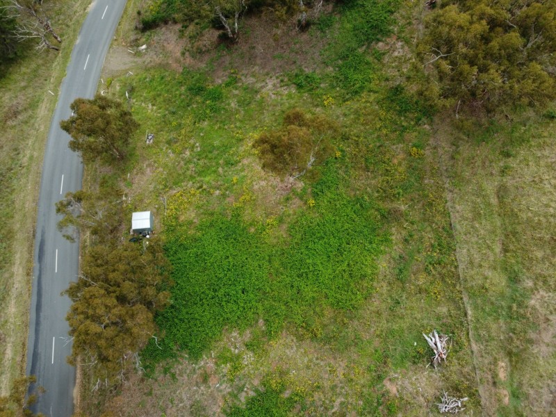 90 Old Omeo Highway, Omeo VIC 3898