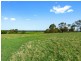 80 Williamson Road, Forge Creek VIC 3875
