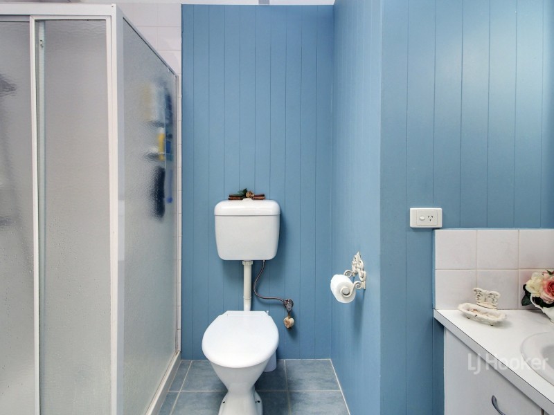 17 McCoy Street, Omeo VIC 3898