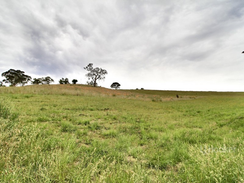 7 Wills Street, Omeo VIC 3898