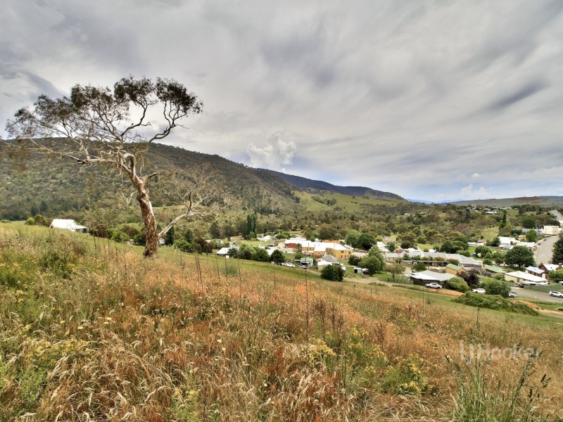 7 Wills Street, Omeo VIC 3898