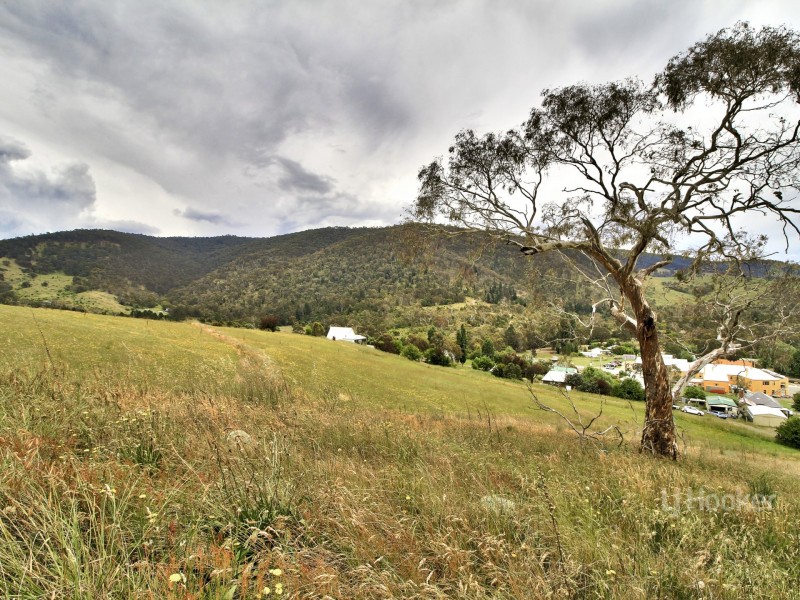 7 Wills Street, Omeo VIC 3898