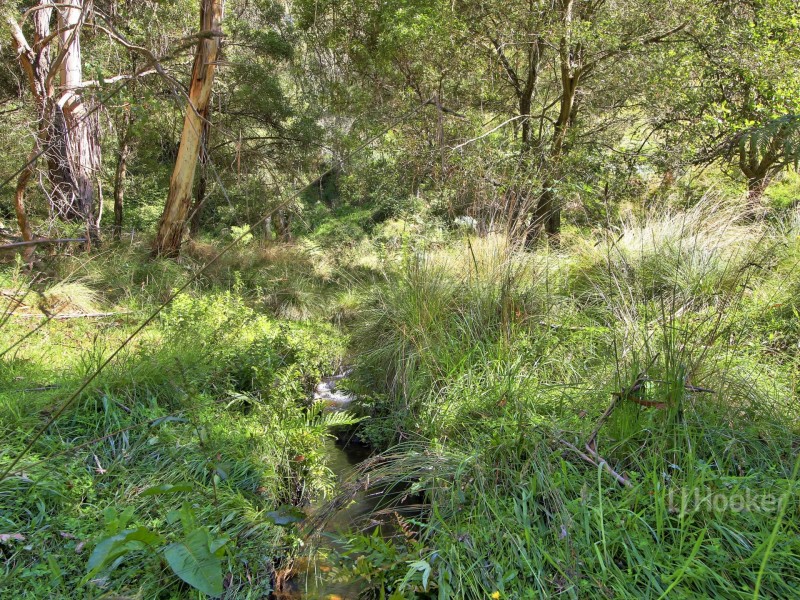 1244 Brookville Road, Brookville VIC 3896