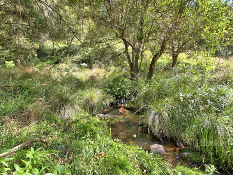 1244 Brookville Road, Brookville VIC 3896