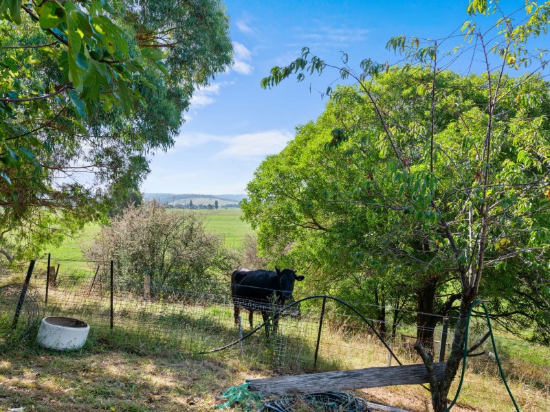 57 Giles Street, Wiseleigh VIC 3885