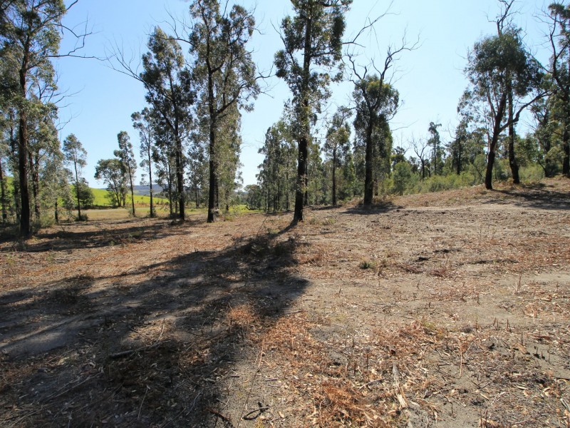 97 Duncan Road, Sarsfield VIC 3875