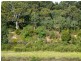 12 Parkside Drive, Nicholson VIC 3882