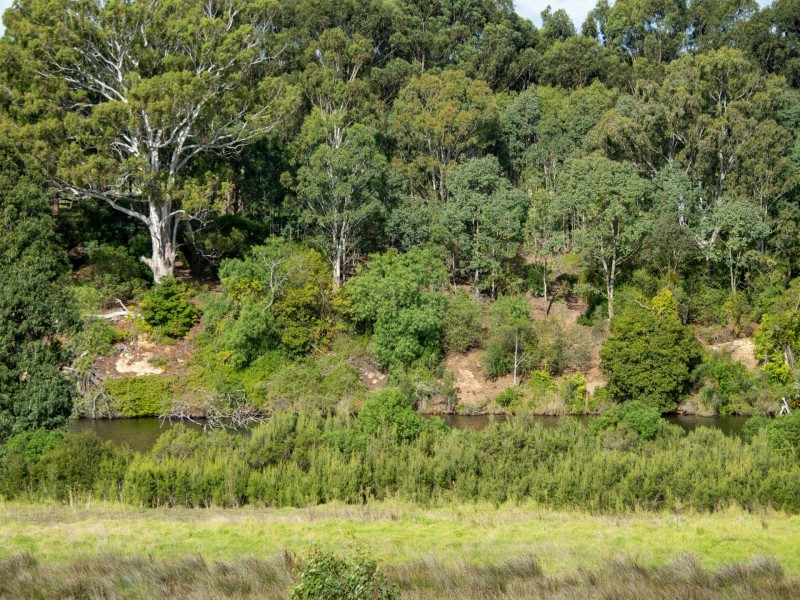 12 Parkside Drive, Nicholson VIC 3882