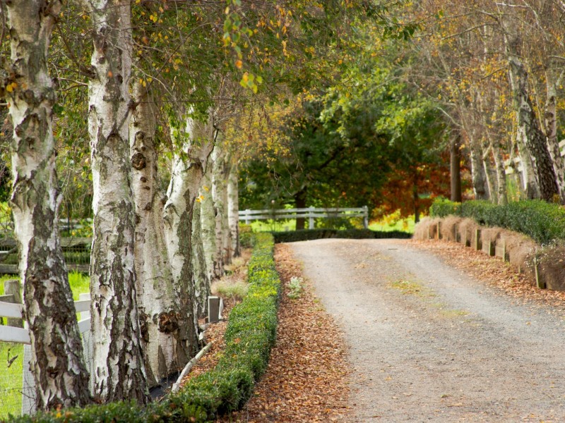 453 Buchan-Orbost Road, Bete Bolong VIC 3888