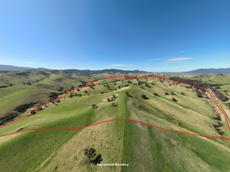 198 Watts Creek Road, Ensay VIC 3895