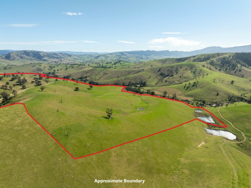 198 Watts Creek Road, Ensay VIC 3895