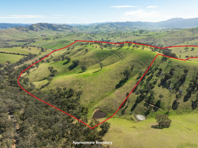 198 Watts Creek Road, Ensay VIC 3895