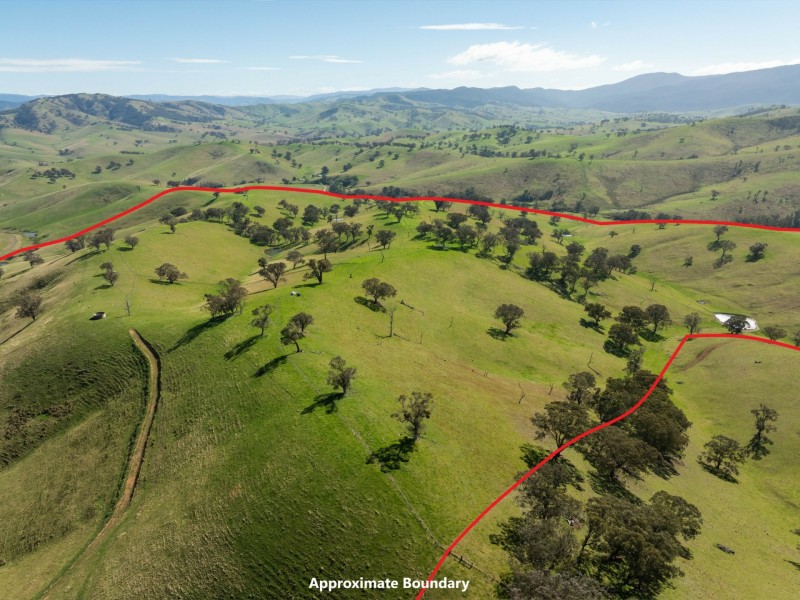 198 Watts Creek Road, Ensay VIC 3895