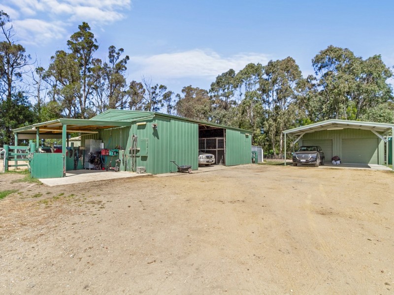 99 Windsor Drive, Sarsfield VIC 3875