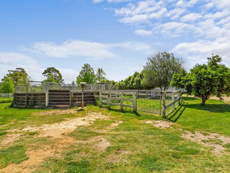 99 Windsor Drive, Sarsfield VIC 3875