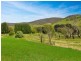 303 Omeo Highway, Omeo VIC 3898