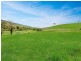 303 Omeo Highway, Omeo VIC 3898
